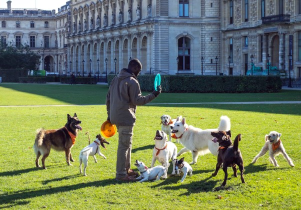 Dogwalker in Paris © Michael Kneffel