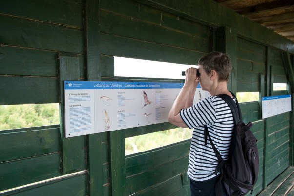 im Beobachtungsstand am Etang de Vendres © Michael Kneffel