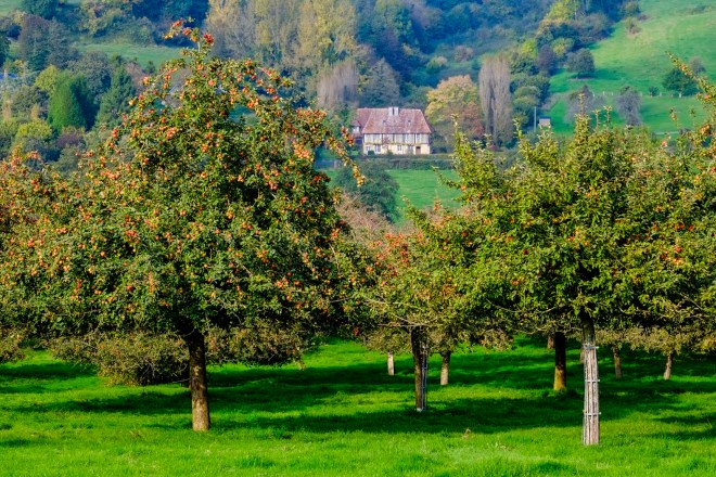 Trouville im Oktober © Michael Kneffel