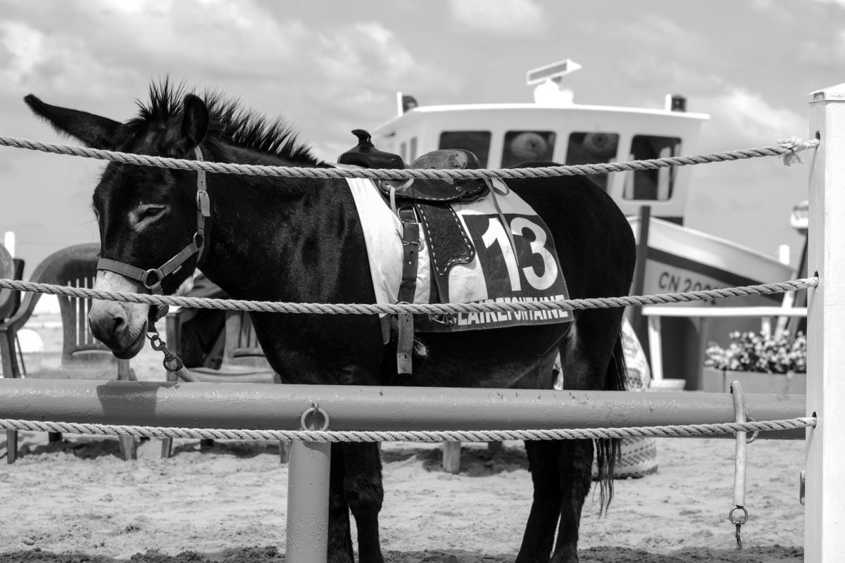 Trouville-sur-Mer im Juli 2016 © Michael Kneffel