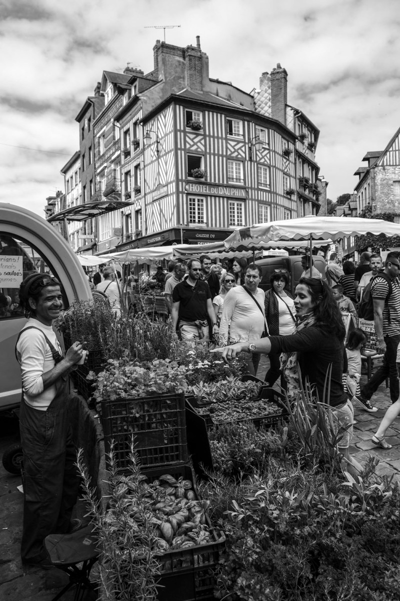 Honfleur im Juli 2016 © Michael Kneffel