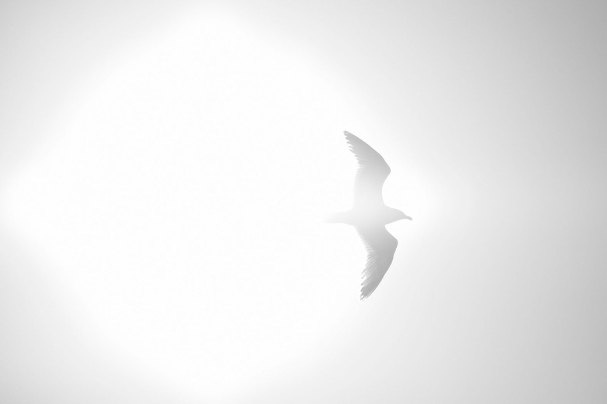 Trouville-sur-Mer im Juli 2016 © Michael Kneffel