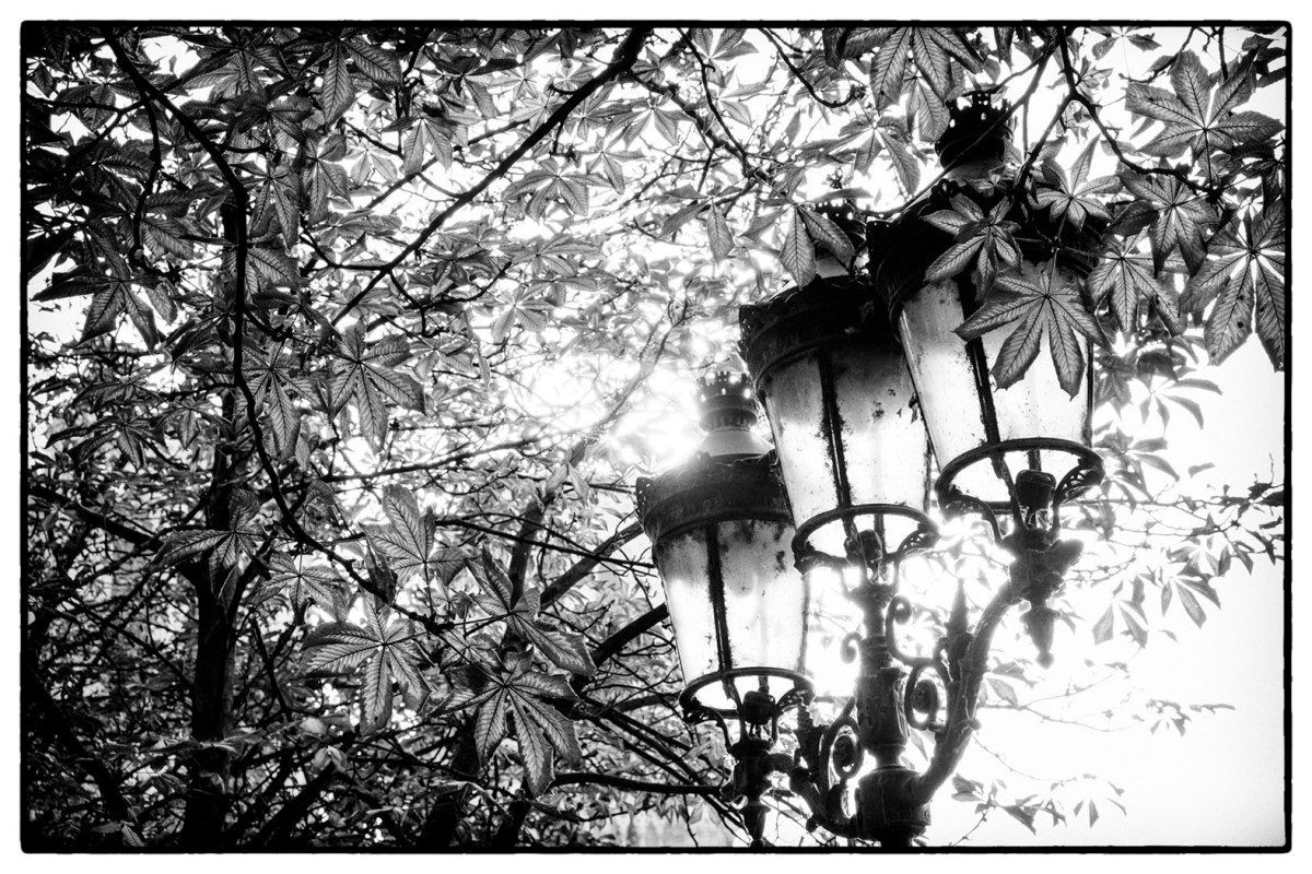 Paris im Oktober 2016 © Michael Kneffel