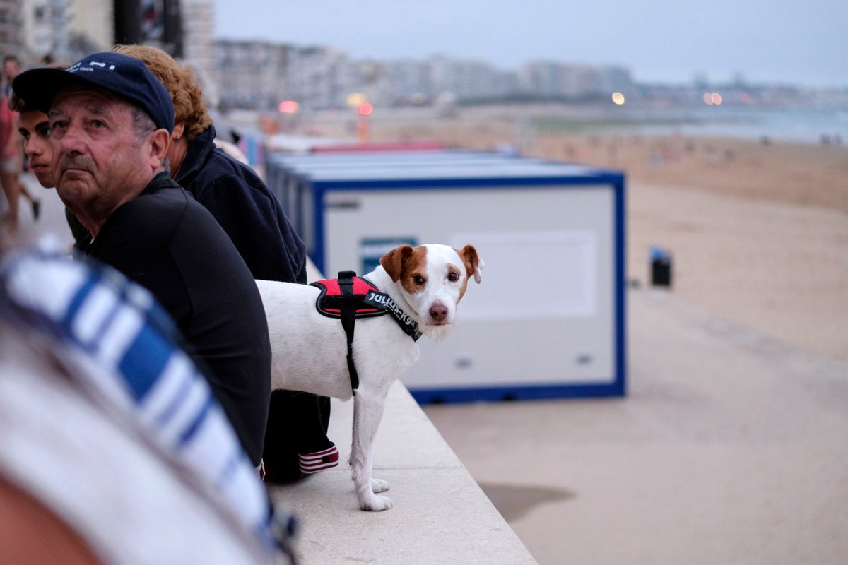 auch für Hunde interessant © Michael Kneffel